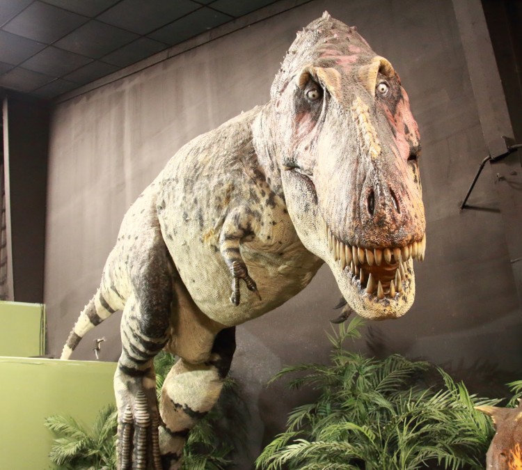 Dinosaur Museum (Branson,&nbspMO)
